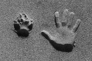 dory_coastal_wolves_9579