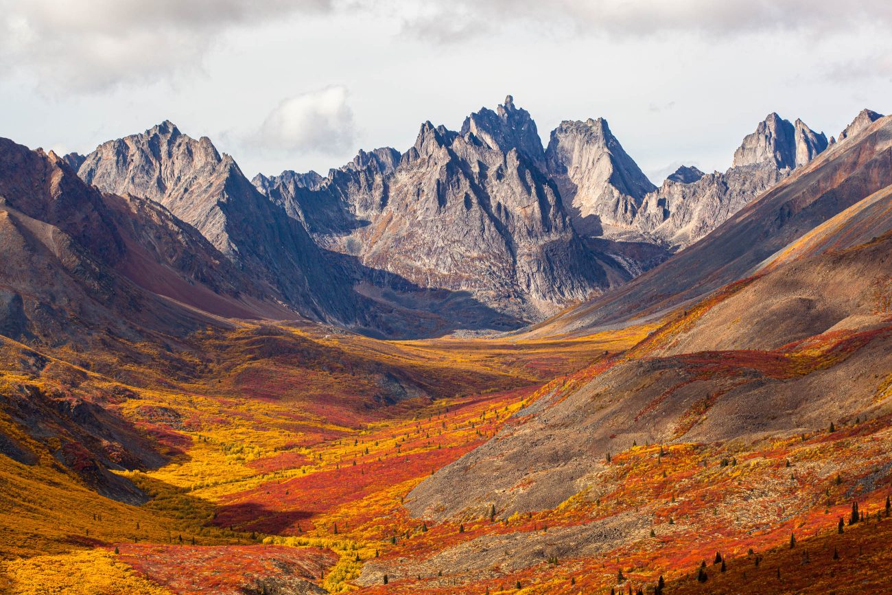 Classic view from the Tombstone Territorial Park captured from the Grizzly Lake trail