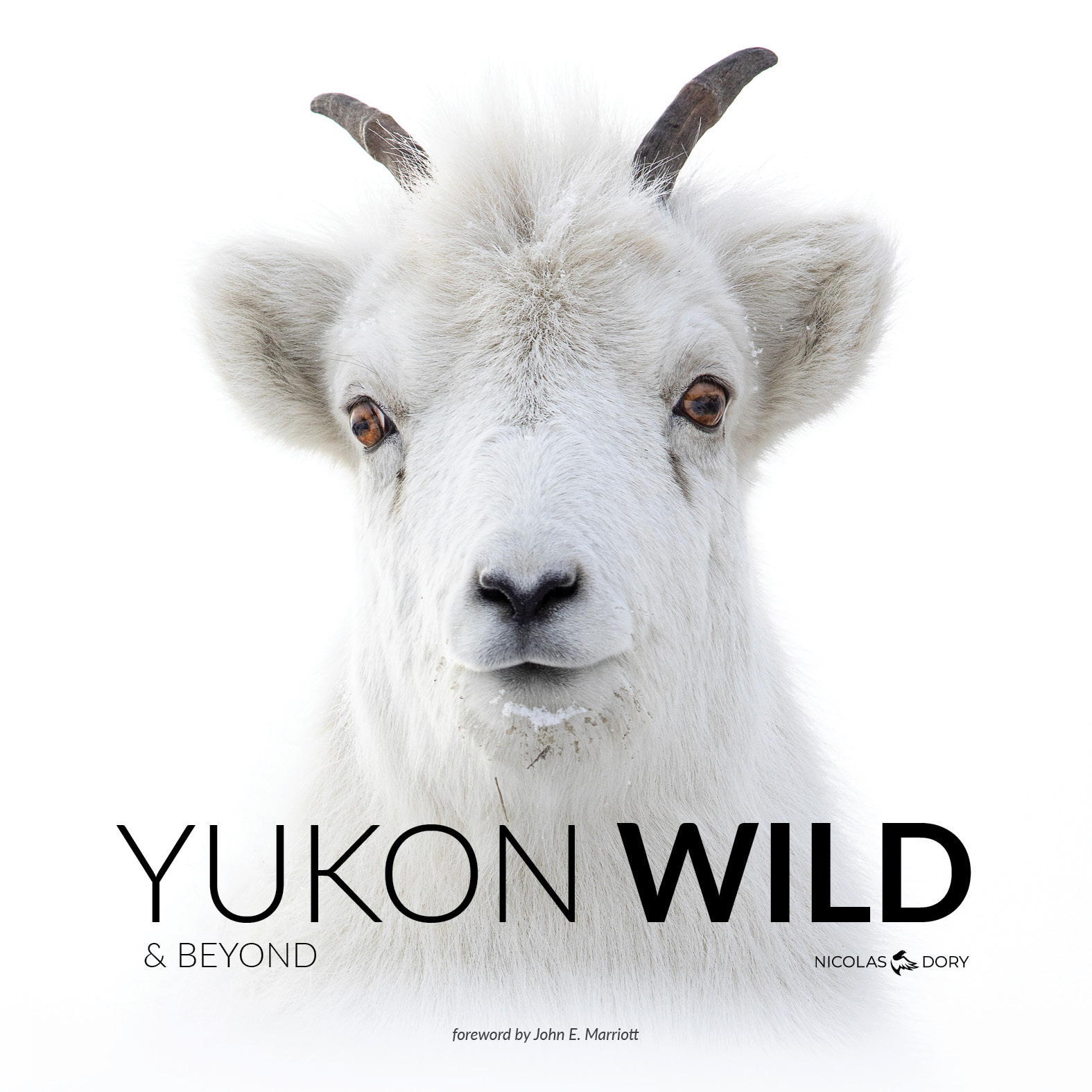 Book Cover Yukon Wild & Beyond by Nicolas Dory Dall Sheep